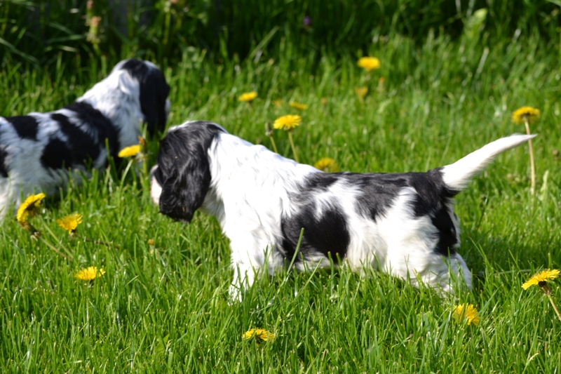 Vrh H a CH 05-Haidi a Hart.JPG